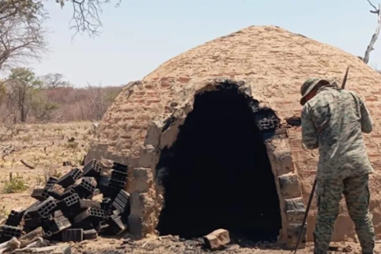 Polícia Ambiental destrói fornos de produção ilegal de carvão em Matina