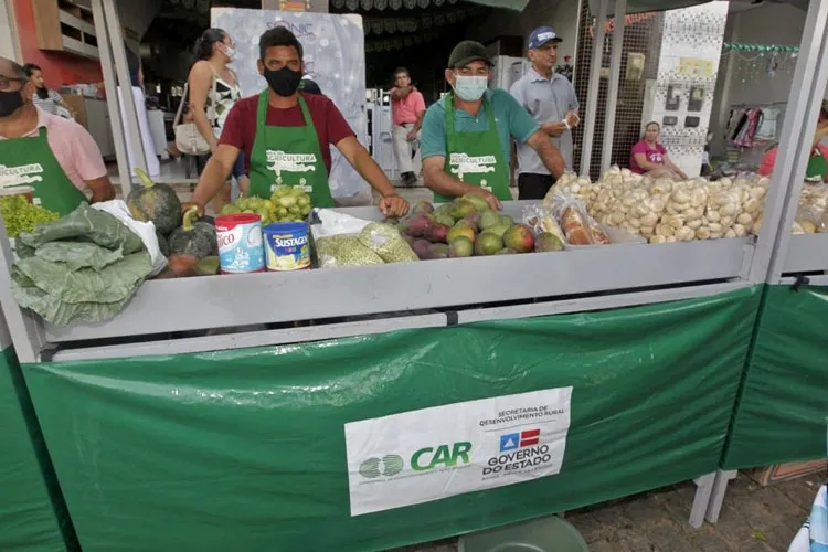 Brumado: Campo Seco promove quarta edição da Feira da Agricultura Familiar