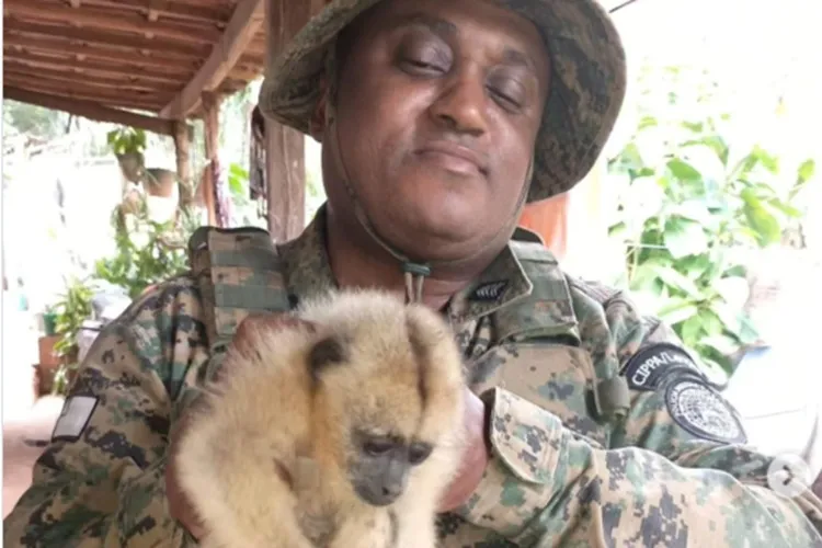 Polícia Ambiental resgata filhote de macaco-bugio na BR-135 em São Desidério