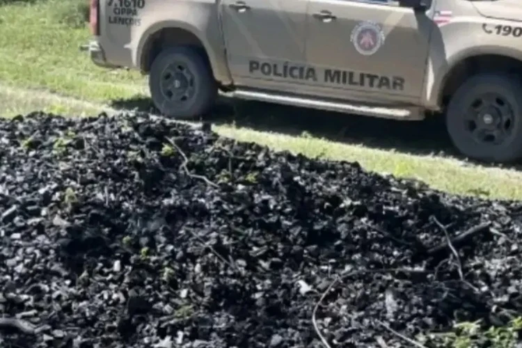 Cippa desmonta esquema ilegal de produção de carvão e destrói 24 fornos em Morpará