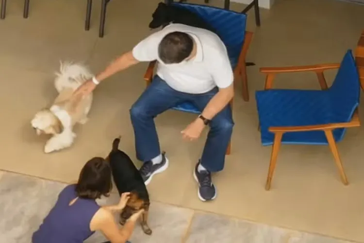 Jair Bolsonaro começa a cumprir prisão domiciliar provisória após receber alta