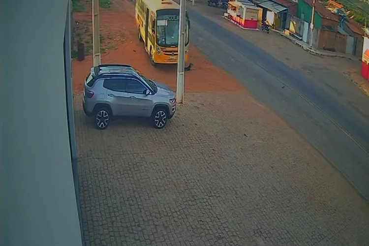 VÍDEO: Cachorro morre atropelado por ônibus escolar e gera indignação em Paramirim