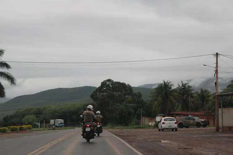 Homem é preso após matar o próprio cão com pauladas na zona rural de Ituaçu