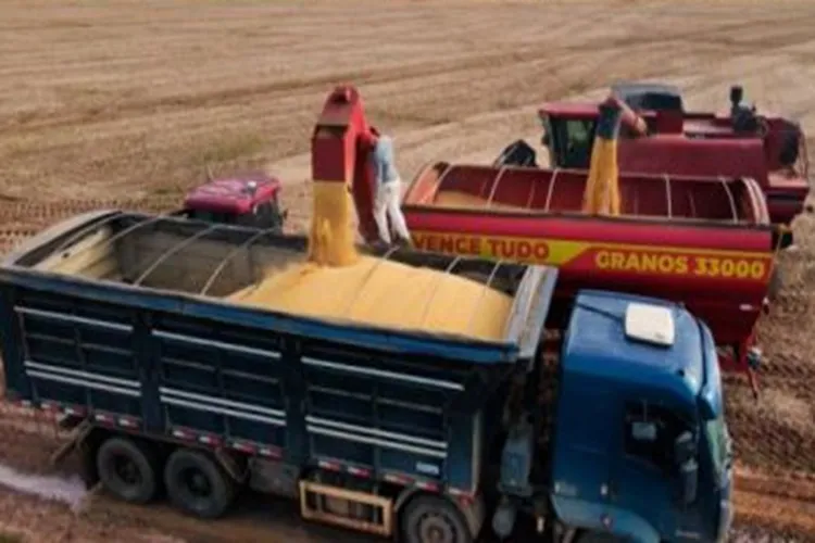 Em 2024, é esperada safra de grãos de 11,4 milhões de toneladas na Bahia