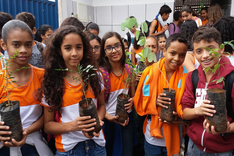 Escola Professora Clarice Morais inicia projeto de arborização em Brumado