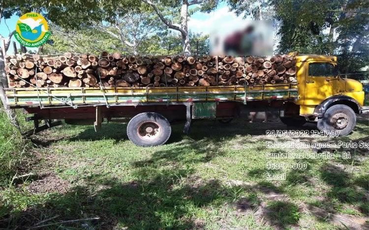 Motorista é detido por transporte ilegal de madeira nativa na região sul da Bahia