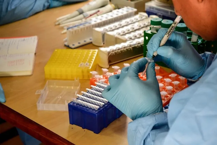 Nova subvariante da Covid-19 é identificada em Mato Grosso