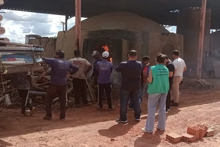 Grande quantidade de drogas é incinerada em Carinhanha