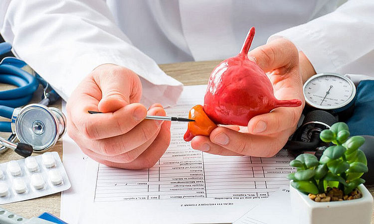 Brasil terá 704 mil novos casos de câncer por ano até 2025, prevê Inca