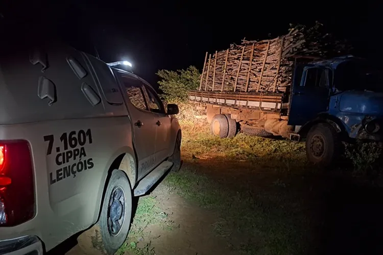 VÍDEO: Cippa destrói 300 fornos e apreende 32 toneladas de carvão em Palmas de Monte Alto