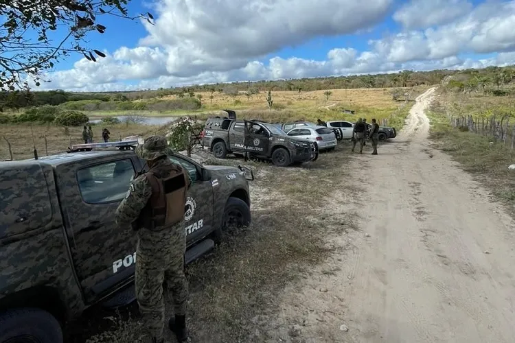 Plantação de 60 mil de pés de maconha é destruída em Monte Santo