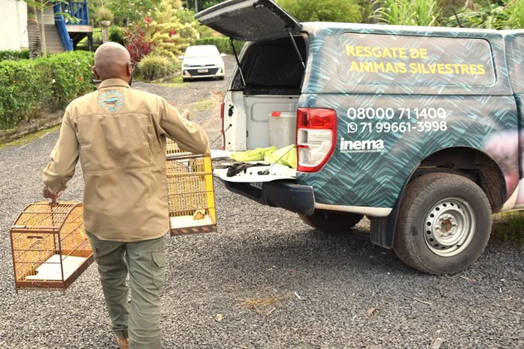 Inema realiza mobilização para entrega voluntária de animais silvestres em Igaporã