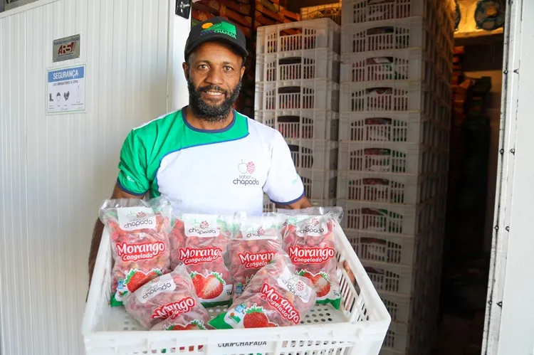 Unidade de beneficiamento de frutas vermelhas amplia renda em Mucugê