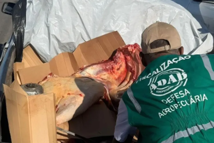 Mais de uma tonelada de carne irregular é apreendida em Candiba e Palmas de Monte Alto