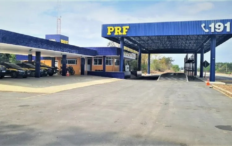 Canários da terra são encontrados aprisionados dentro de mochila em Vitória da Conquista