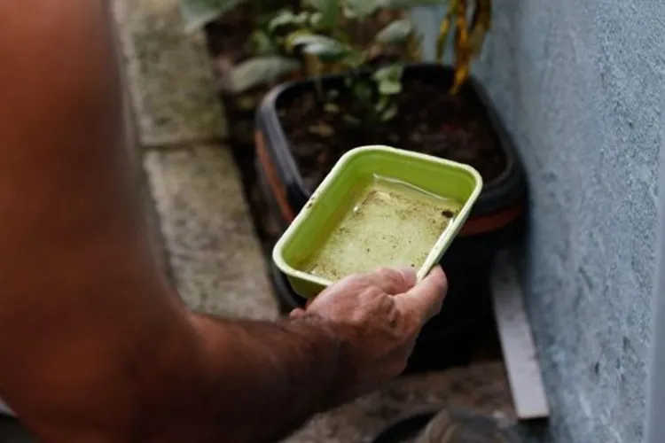 Bahia registra queda de 41% nos casos de dengue em 2026
