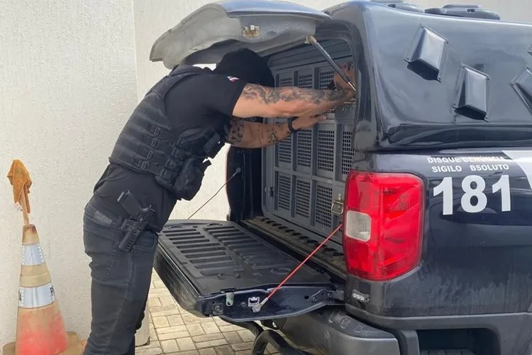 Suspeito de manter companheira em cárcere privado e provocar sua morte é preso