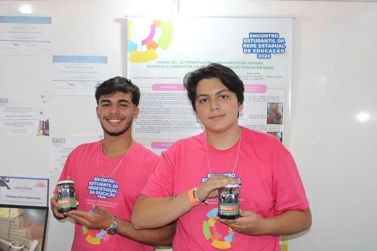 Ibiassucê: Estudantes criam pomada caseira para tratamento de feridas em gado