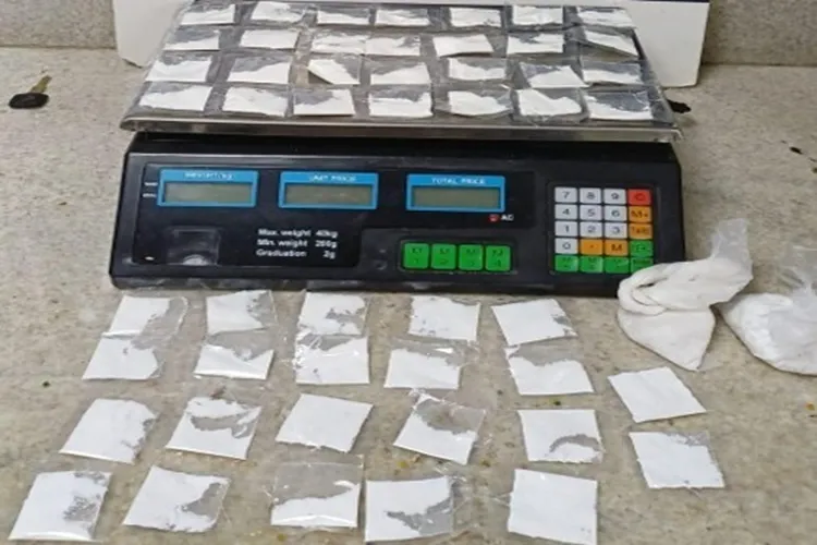 PRF resgata 17 aves silvestres e apreende cocaína em ônibus em Vitória da Conquista