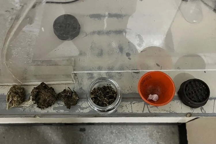 17º BPM prende 4 pessoas por posse de drogas durante busca veicular em Guanambi