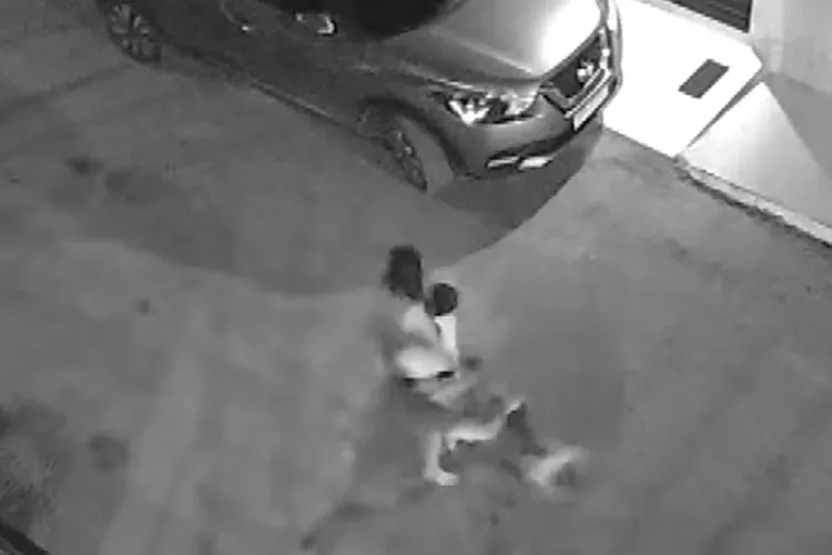 Criança com autismo fica ferida após ser atacada por Pitbull em Itabuna