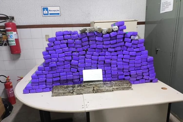 Urandi: 2ª CIPRv apreende 257 tabletes de maconha dentro de van BA-026