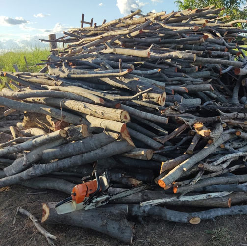 Polícia ambiental apreende madeira, arma de fogo e motosserra em Carinhanha