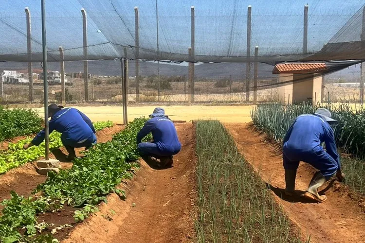 Conjunto Penal de Brumado se destaca em projetos voltados para ressocialização