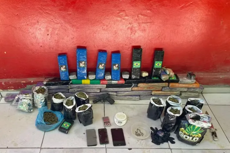 Polícia Militar desarticula esquema de cultivo 'indoor' de maconha em Itacaré