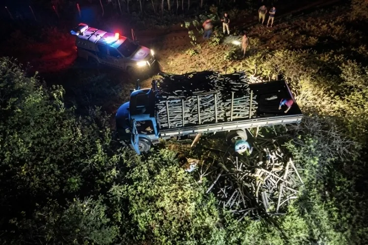 Desmatamento no sertão baiano abastece a economia de Minas Gerais, aponta Cippa