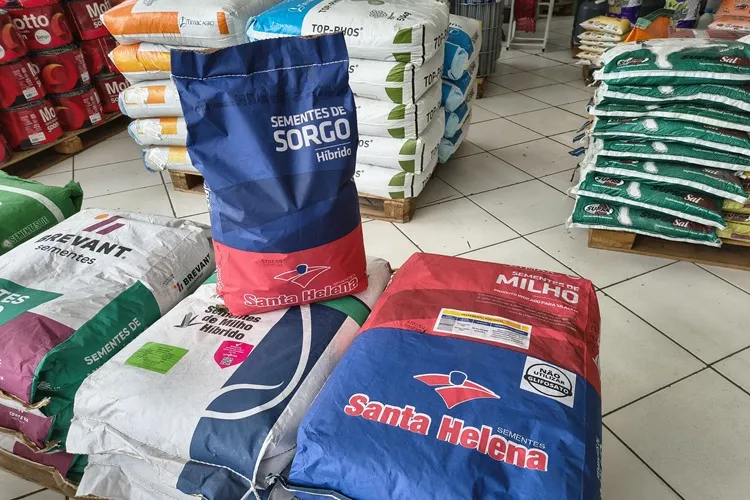 Brumado: Armazém do Criador Agro dispõe de vacina polivalente para o gado e sorgo e milho forrageiro