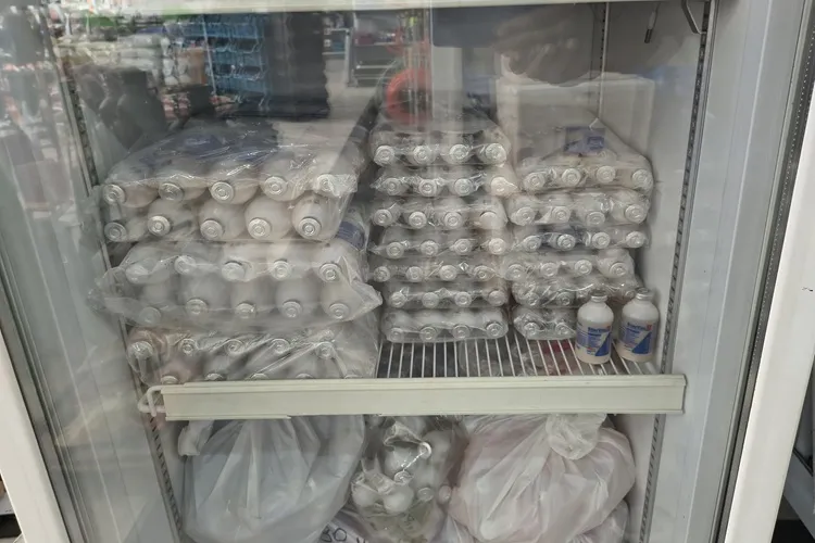 Brumado: Armazém do Criador Agro dispõe de vacina polivalente para o gado e sorgo e milho forrageiro