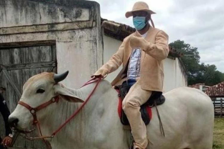 Prefeito de Jacobina reduz salário em 90% e vai para posse montado em boi