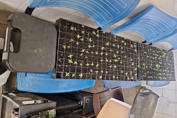 Advogado investigado por tráfico e homicídios é preso em Utinga