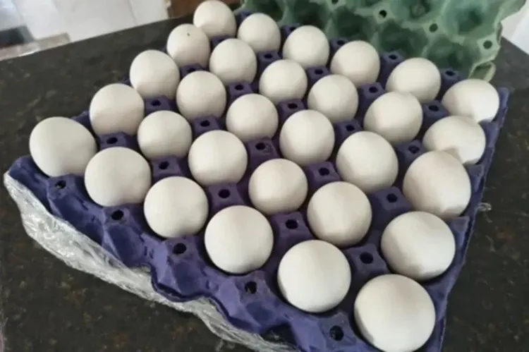 Com alta na Quaresma, cartela de ovos já custa R$ 24 em Brumado