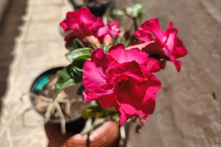 Primavera chega com variações climáticas e expectativas de boas chuvas para o sudoeste da Bahia