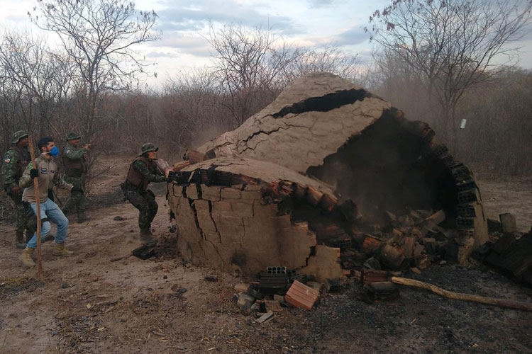 Operação Terra de Fogo: Inema combate desmatamento na região de Guanambi