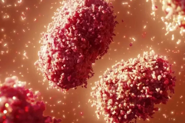 Secretaria da Saúde descarta caso suspeito de varíola dos macacos na Bahia