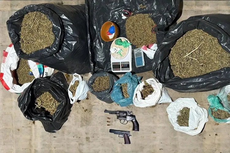 29ª CIPM apreende drogas, armas e munições durante patrulhamento em Seabra