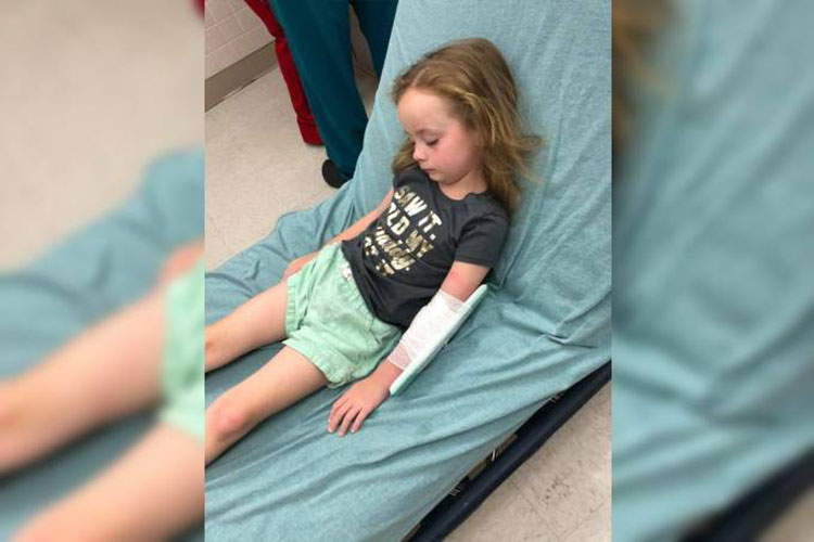 Menina fica paralisada por 12 horas após ser picada por carrapato