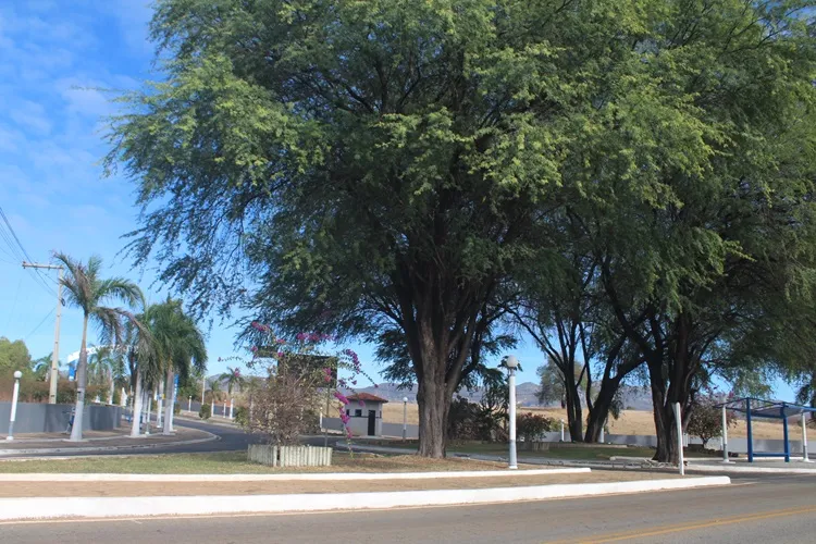 Justiça cobra informações da Codevasf sobre distribuição de caixas d?água em Macaúbas