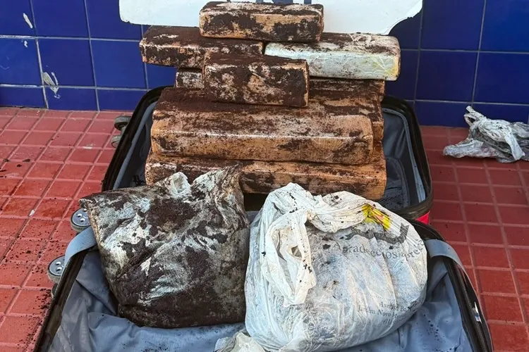 Jequié: PRF apreende 13,7 kg de cocaína escondidos em pó de café dentro de ônibus