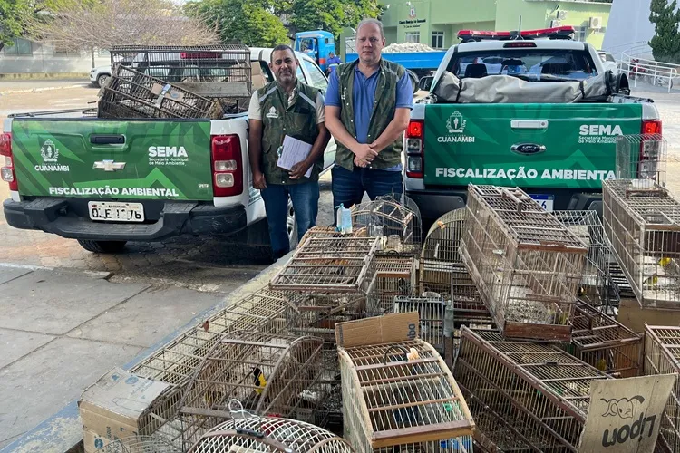Secretaria de Meio Ambiente destrói gaiolas e liberta 39 pássaros em Guanambi