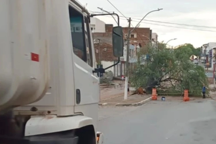 Prefeitura de Brumado mobiliza força-tarefa para reduzir impactos das fortes chuvas