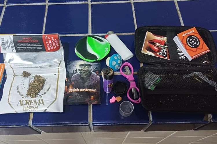 2ª CIPRv apreende entorpecente durante abordagem na BR-030 em Brumado