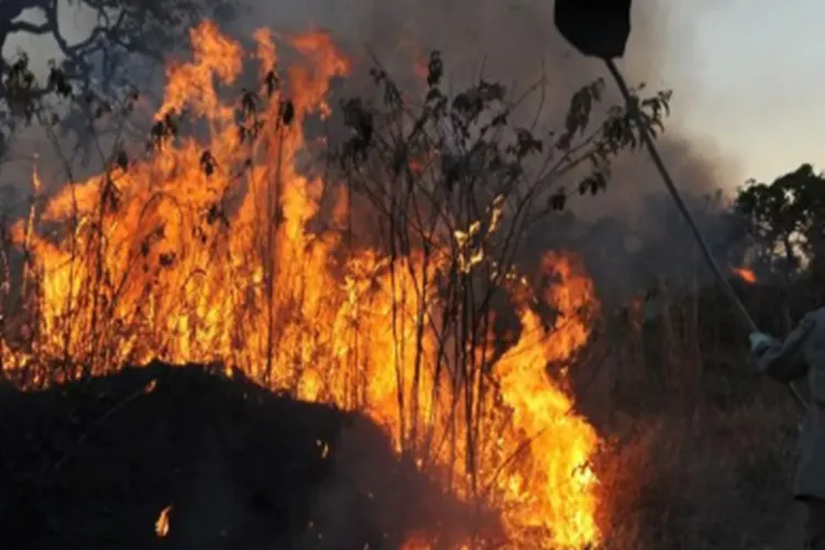 Ibama multa 242 pessoas por incêndios criminosos em 2024