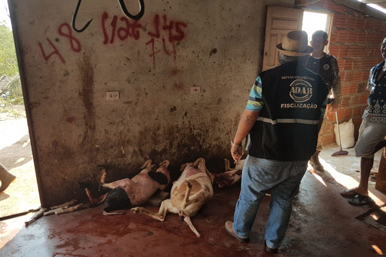 Mercado de Livramento de Nossa Senhora não oferece condições para comercialização de carne, diz Adab
