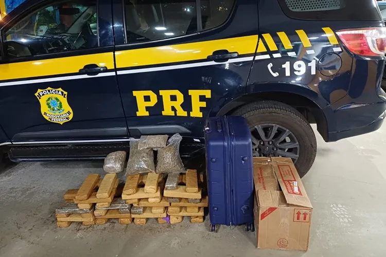 PRF apreende quase 110 kg de maconha na BR-116 em Vitória da Conquista