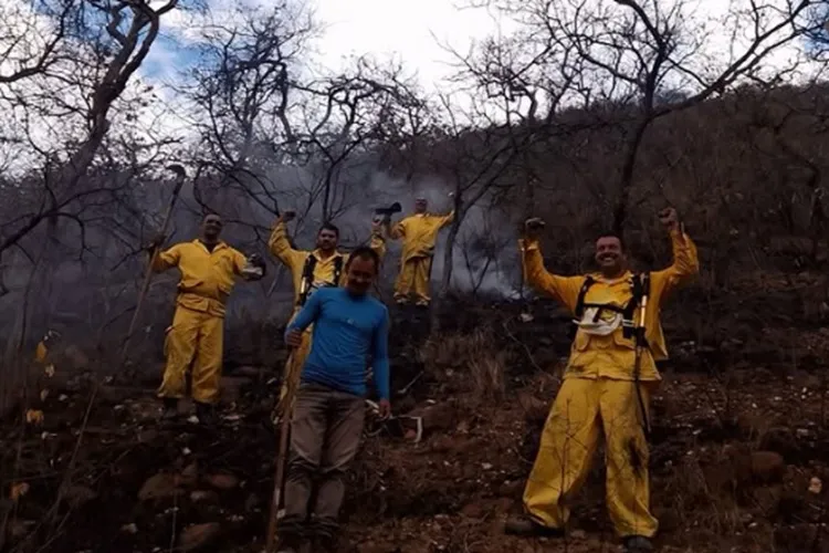Brigadistas voluntários são homenageados após combate a incêndio em Érico Cardoso