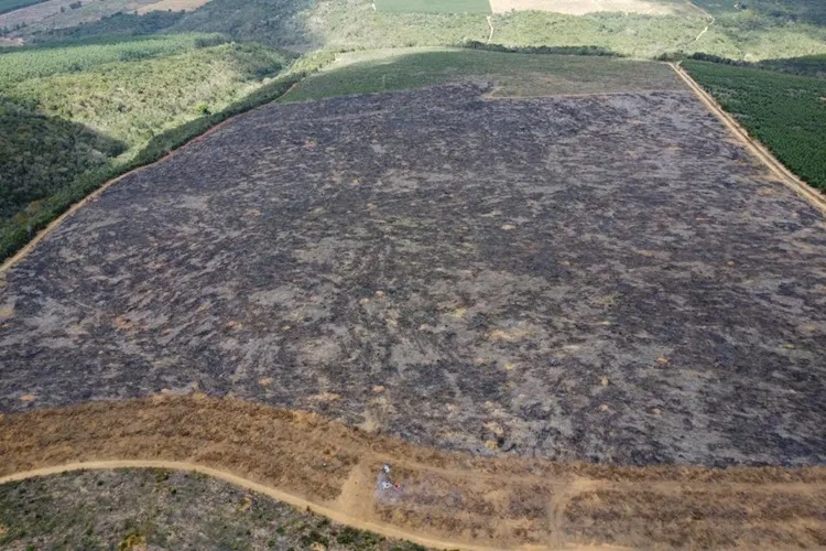Sudoeste baiano é alvo de fiscalização que identificou 205 hectares de desmatamento